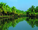 Kerala Backwaters