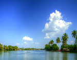 Kerala Backwaters